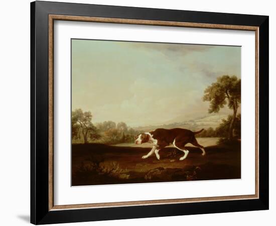 Spanish Pointer-George Stubbs-Framed Giclee Print