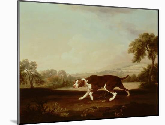 Spanish Pointer-George Stubbs-Mounted Giclee Print