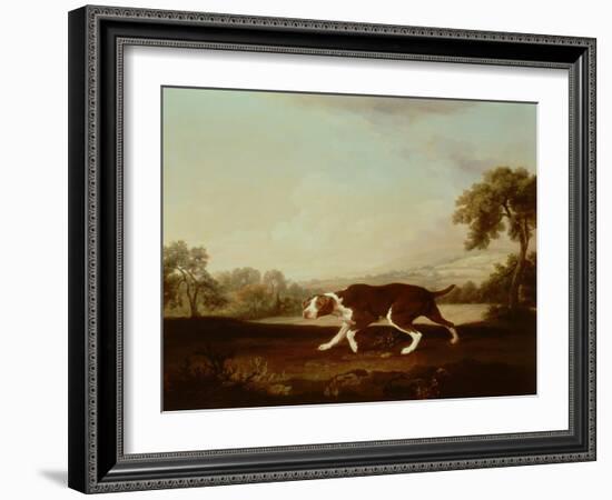 Spanish Pointer-George Stubbs-Framed Giclee Print