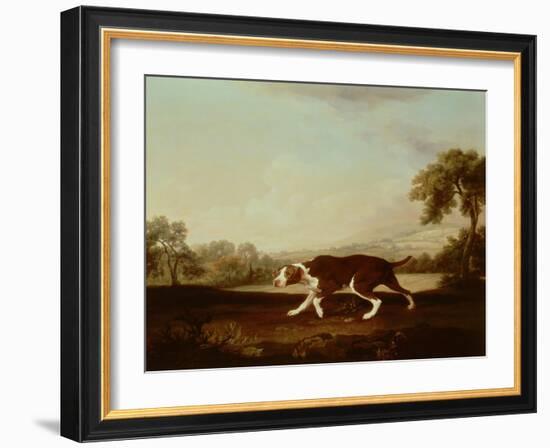 Spanish Pointer-George Stubbs-Framed Giclee Print