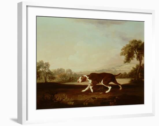 Spanish Pointer-George Stubbs-Framed Giclee Print