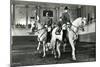 Spanish Riding School-null-Mounted Art Print