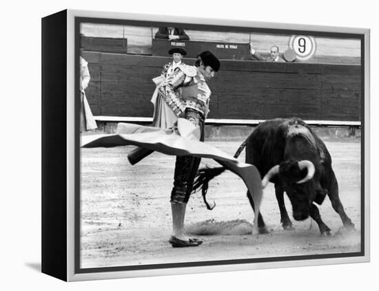 Spanish Toreador Manuel Benitez Called El Cordobes During Bullfight in Castellano De La Playa Spain-null-Framed Stretched Canvas