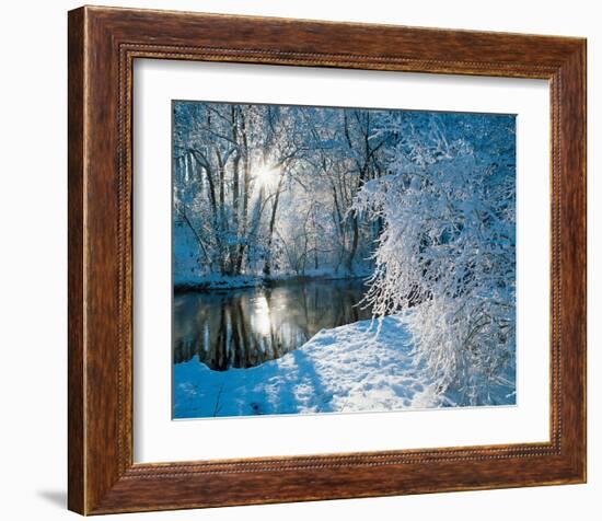 Sparkiling Winter Scene-null-Framed Art Print