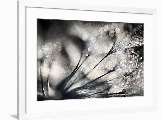 Sparklers-Ursula Abresch-Framed Photographic Print