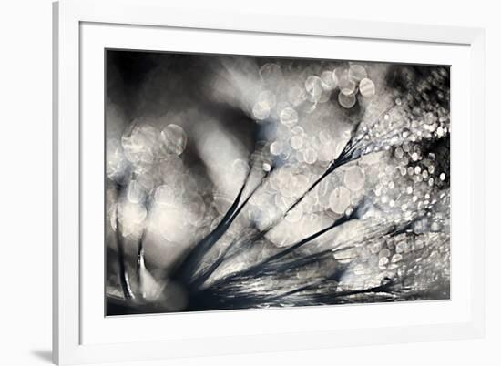 Sparklers-Ursula Abresch-Framed Photographic Print