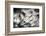 Sparklers-Ursula Abresch-Framed Photographic Print