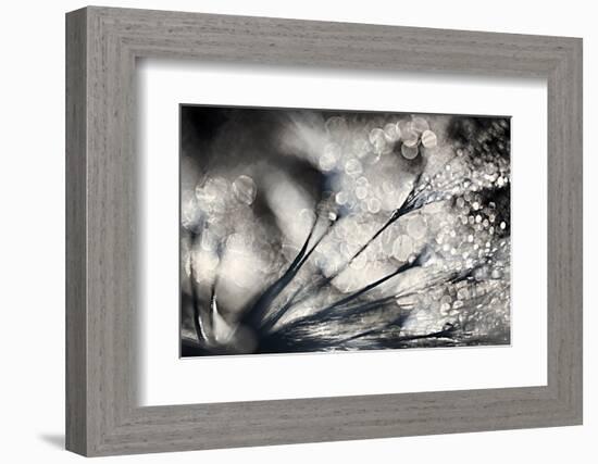 Sparklers-Ursula Abresch-Framed Photographic Print