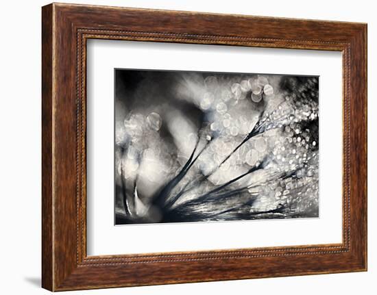 Sparklers-Ursula Abresch-Framed Photographic Print