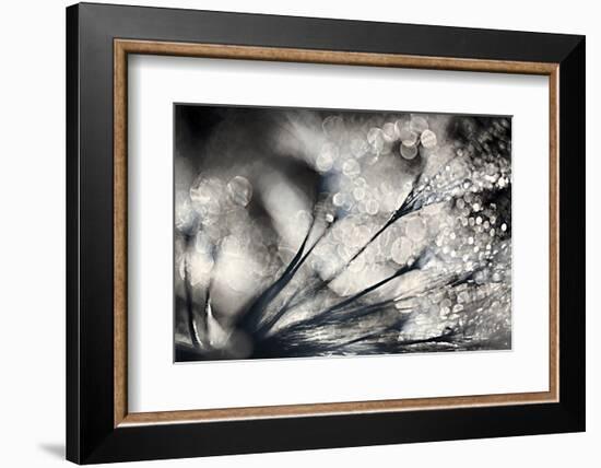 Sparklers-Ursula Abresch-Framed Photographic Print