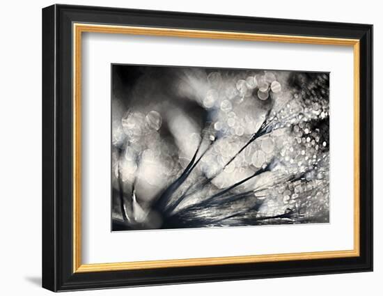 Sparklers-Ursula Abresch-Framed Photographic Print