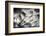 Sparklers-Ursula Abresch-Framed Photographic Print