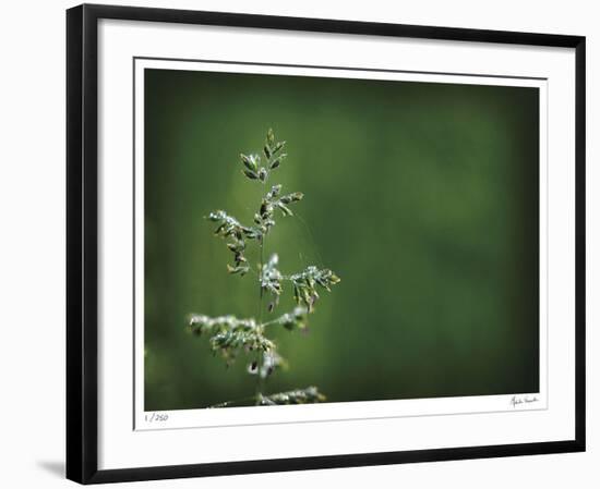 Sparkley-Michelle Wermuth-Framed Giclee Print