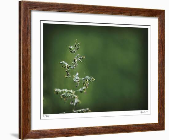 Sparkley-Michelle Wermuth-Framed Giclee Print