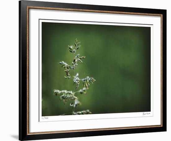 Sparkley-Michelle Wermuth-Framed Giclee Print