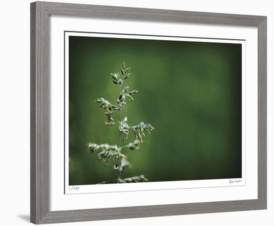 Sparkley-Michelle Wermuth-Framed Giclee Print