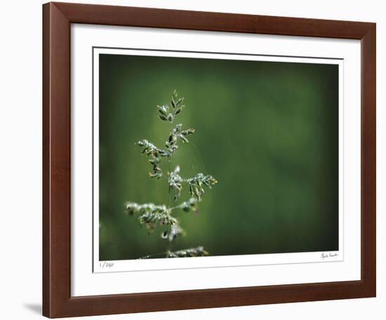 Sparkley-Michelle Wermuth-Framed Giclee Print