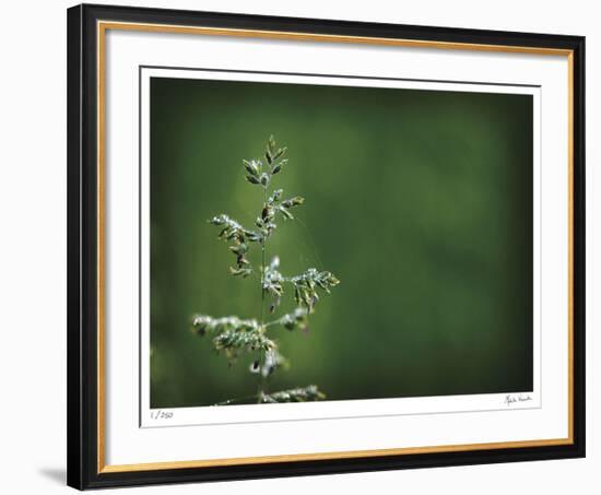 Sparkley-Michelle Wermuth-Framed Giclee Print