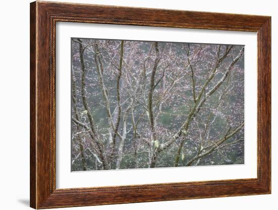 Sparkling Raindrops II-Kathy Mahan-Framed Photographic Print