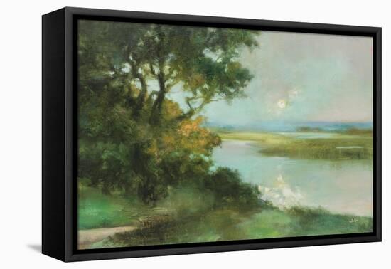 Sparkling River-Julia Purinton-Framed Stretched Canvas