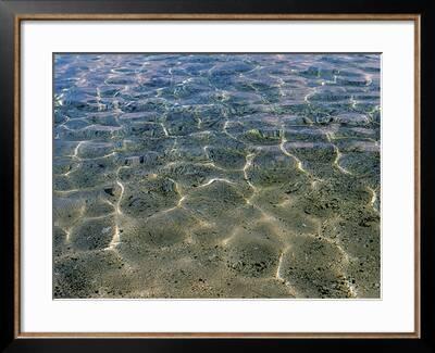 Sparkling Sea Water Over Sandy Beach Photographic Print Art Com