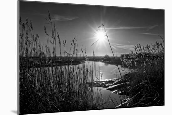 Sparkling Sunrise-Adrian Campfield-Mounted Photographic Print