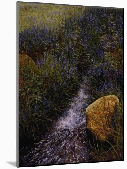 Sparkling Water-Bill Makinson-Mounted Giclee Print