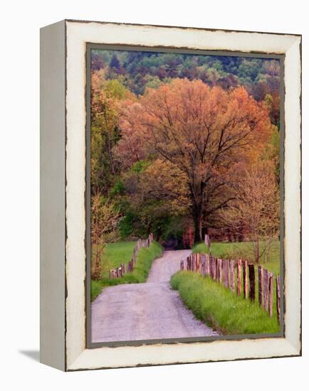 Sparks Lane, Cades Cove, Great Smoky Mountains National Park, Tennessee, USA-Adam Jones-Framed Premier Image Canvas