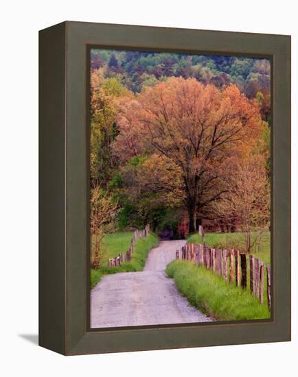 Sparks Lane, Cades Cove, Great Smoky Mountains National Park, Tennessee, USA-Adam Jones-Framed Premier Image Canvas