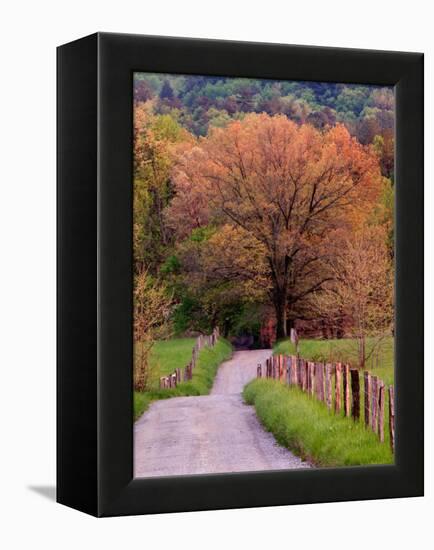Sparks Lane, Cades Cove, Great Smoky Mountains National Park, Tennessee, USA-Adam Jones-Framed Premier Image Canvas