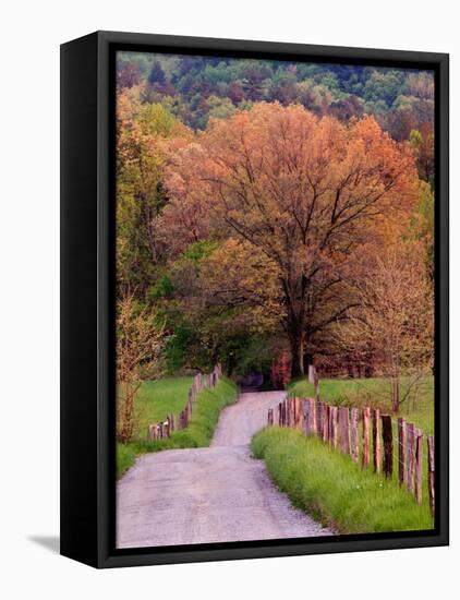 Sparks Lane, Cades Cove, Great Smoky Mountains National Park, Tennessee, USA-Adam Jones-Framed Premier Image Canvas