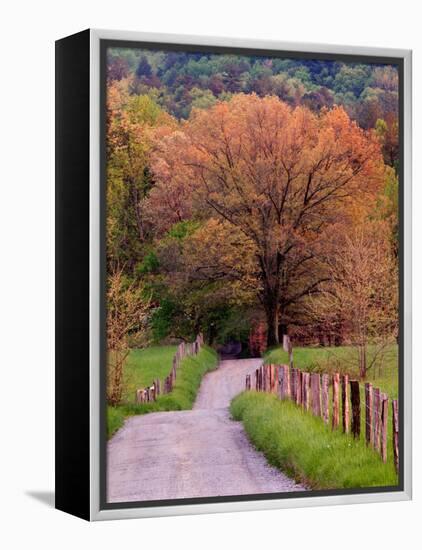 Sparks Lane, Cades Cove, Great Smoky Mountains National Park, Tennessee, USA-Adam Jones-Framed Premier Image Canvas