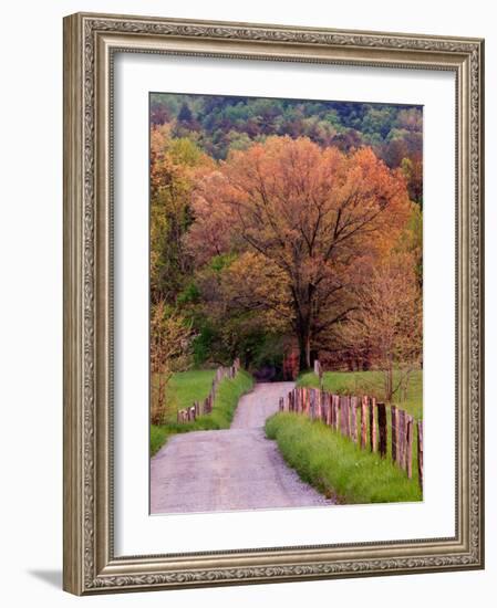 Sparks Lane, Cades Cove, Great Smoky Mountains National Park, Tennessee, USA-Adam Jones-Framed Photographic Print