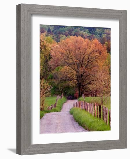 Sparks Lane, Cades Cove, Great Smoky Mountains National Park, Tennessee, USA-Adam Jones-Framed Photographic Print