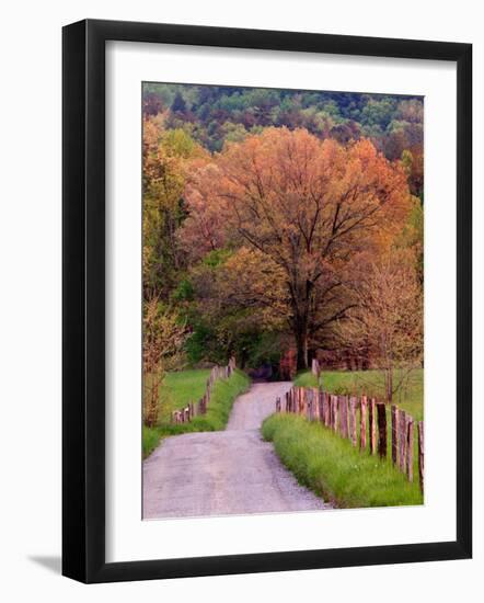 Sparks Lane, Cades Cove, Great Smoky Mountains National Park, Tennessee, USA-Adam Jones-Framed Photographic Print
