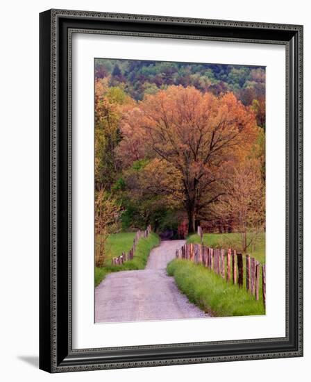 Sparks Lane, Cades Cove, Great Smoky Mountains National Park, Tennessee, USA-Adam Jones-Framed Photographic Print