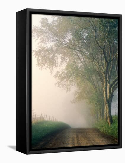 Sparks Lane, Cades Cove, Great Smoky Mountains National Park, Tennessee, USA-Adam Jones-Framed Premier Image Canvas