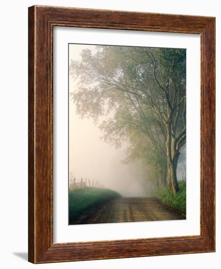 Sparks Lane, Cades Cove, Great Smoky Mountains National Park, Tennessee, USA-Adam Jones-Framed Photographic Print