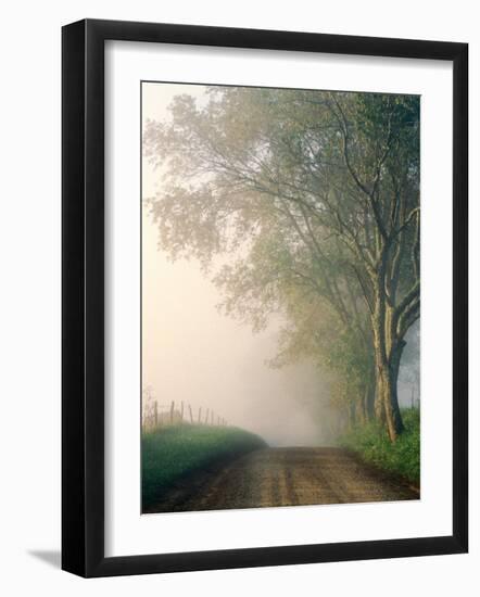 Sparks Lane, Cades Cove, Great Smoky Mountains National Park, Tennessee, USA-Adam Jones-Framed Photographic Print