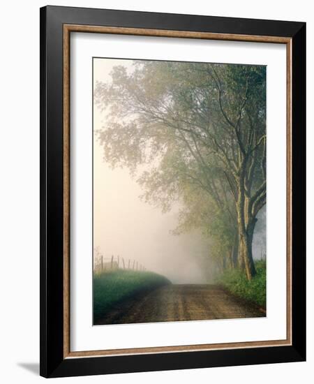 Sparks Lane, Cades Cove, Great Smoky Mountains National Park, Tennessee, USA-Adam Jones-Framed Photographic Print