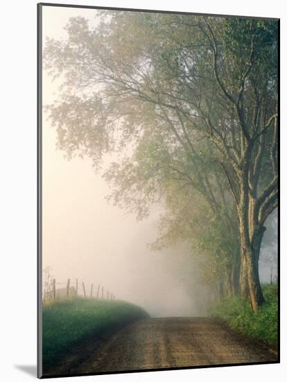 Sparks Lane, Cades Cove, Great Smoky Mountains National Park, Tennessee, USA-Adam Jones-Mounted Photographic Print
