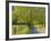 Sparks Lane, Cades Cove, Great Smoky Mountains National Park, Tennessee, Usa-Adam Jones-Framed Photographic Print