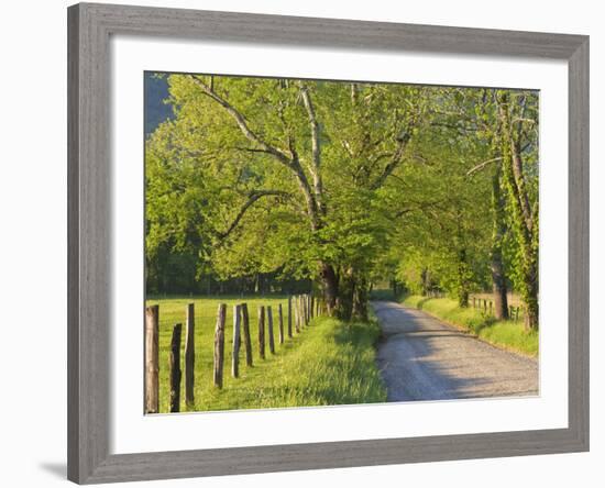 Sparks Lane, Cades Cove, Great Smoky Mountains National Park, Tennessee, Usa-Adam Jones-Framed Photographic Print