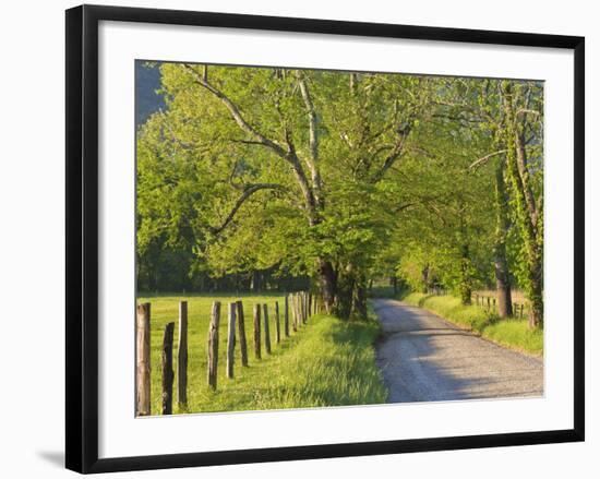 Sparks Lane, Cades Cove, Great Smoky Mountains National Park, Tennessee, Usa-Adam Jones-Framed Photographic Print