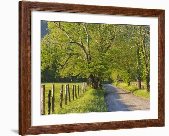 Sparks Lane, Cades Cove, Great Smoky Mountains National Park, Tennessee, Usa-Adam Jones-Framed Photographic Print