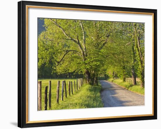 Sparks Lane, Cades Cove, Great Smoky Mountains National Park, Tennessee, Usa-Adam Jones-Framed Photographic Print