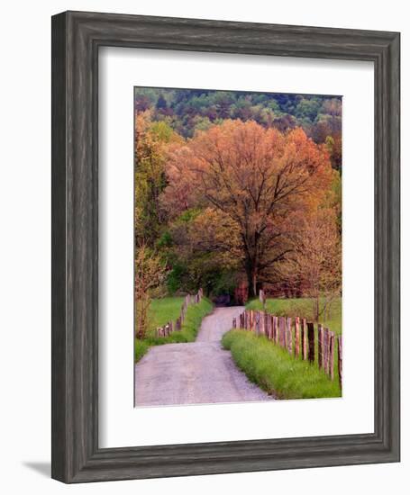 Sparks Lane, Cades Cove, Great Smoky Mountains National Park, Tennessee, USA-Adam Jones-Framed Photographic Print