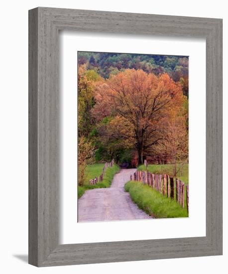 Sparks Lane, Cades Cove, Great Smoky Mountains National Park, Tennessee, USA-Adam Jones-Framed Photographic Print