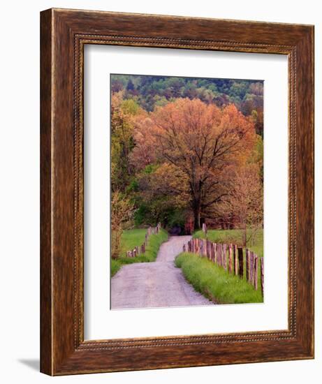 Sparks Lane, Cades Cove, Great Smoky Mountains National Park, Tennessee, USA-Adam Jones-Framed Photographic Print