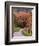 Sparks Lane, Cades Cove, Great Smoky Mountains National Park, Tennessee, USA-Adam Jones-Framed Photographic Print